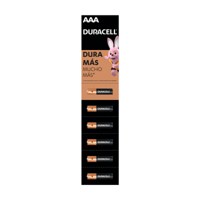 Pilas AAA Duracell 6 unidades