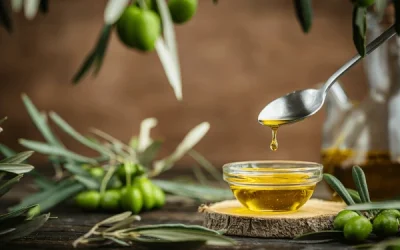 ORO LÍQUIDO EN TU MESA: LA EXCELENCIA DEL ACEITE TERRA SANTA
